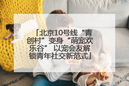 北京10号线“青创村”变身“萌宠欢乐谷” 以宠会友解锁青年社交新范式